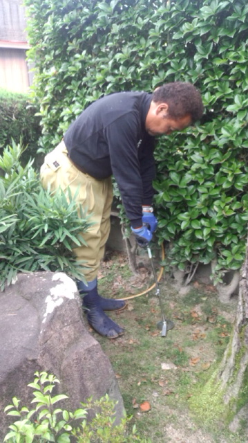 ポア―ノズルで根元にモナパワー（１，０００倍液）を注入