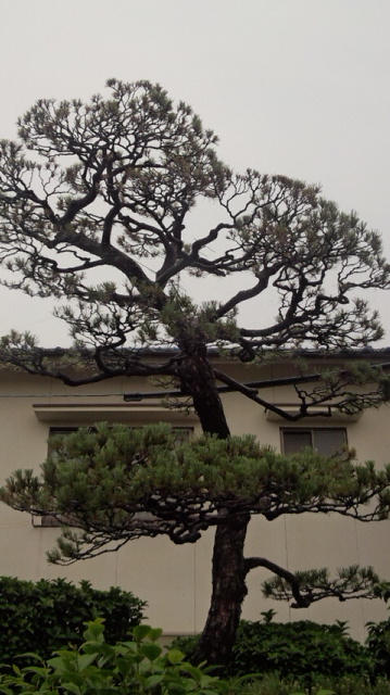 活力剤の革命「モナパワー」の効果