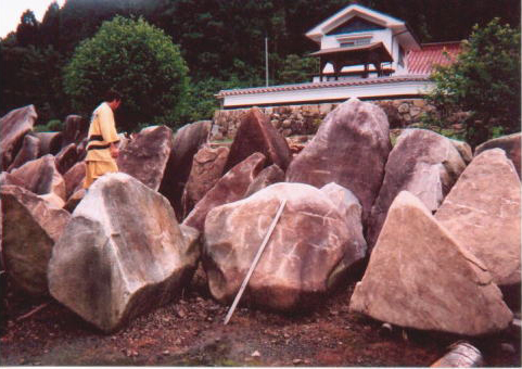 地上に出て１００年の石